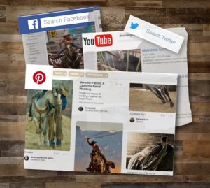 Social Media and the horse
