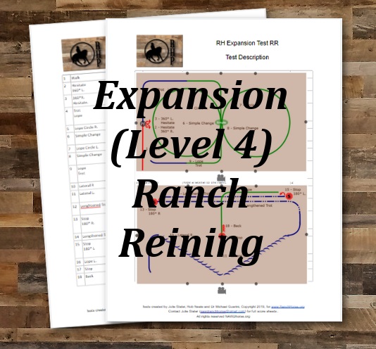 Ranch Horse level 4b