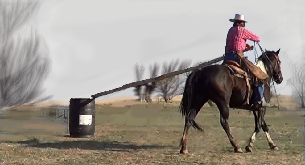 Ranch Reining Online Tests