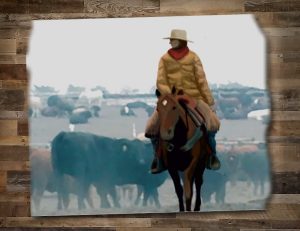 Online Horse Show Judge Julie Slater