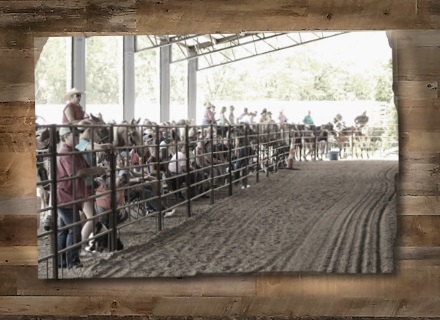 Nationwide Virtual Shows